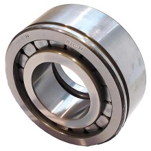 NUP311EN RICH 55x120x29 NUP311EN RICH