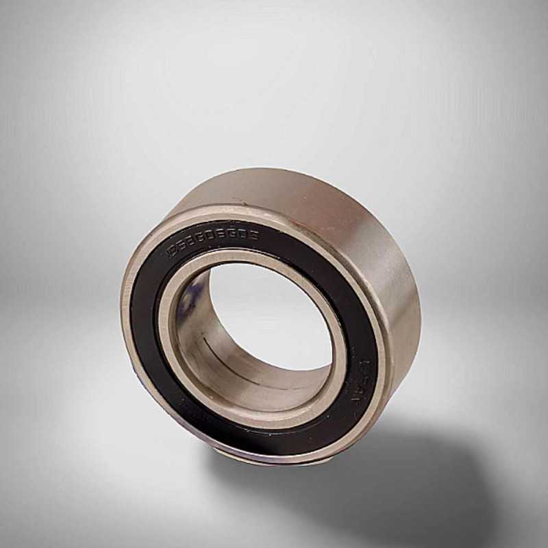 35BG06G-2RS RICH 35x62x21 35BG06G-2RS RICH