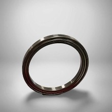 61816-ZZ RICH 80x100x10 61816-ZZ RICH