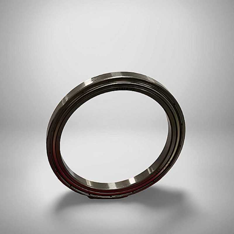 61816-ZZ RICH 80x100x10 61816-ZZ RICH