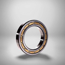 16022 M C3 RICH 110x170x19 16022-M-C3 RICH