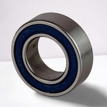 173110 2RS RICH 17x31x10 173110-2RS RICH