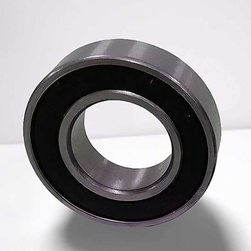 163110 2RS RICH 16x31x10 163110-2RS RICH