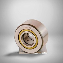 PWTR17-2RS RICH 17x40x21 PWTR17-2RS RICH