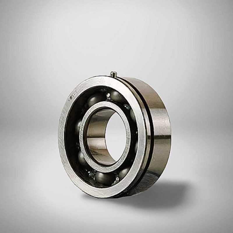 83B051D C4 RICH 25x55x18 83B051D-C4 RICH