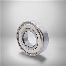 RMS 6 2Z RICH 19,5x50,8x17,462 RMS6ZZ RICH