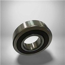 RMS 6 2RS RICH 19,5x50,8x17,462 RMS62RS RICH