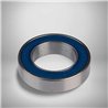 MR 18307 2RS RICH 18x30x7 MR18307LLB RICH