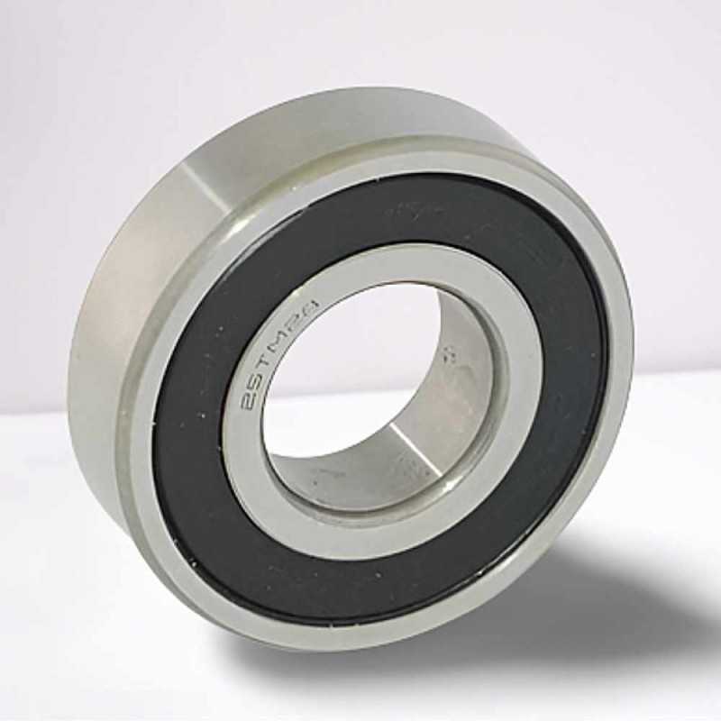 RD-66/25,5-2RS C3 RICH (25TM28C3) 25,5x58x16 RD-66/25,5-2RS-C3 RICH