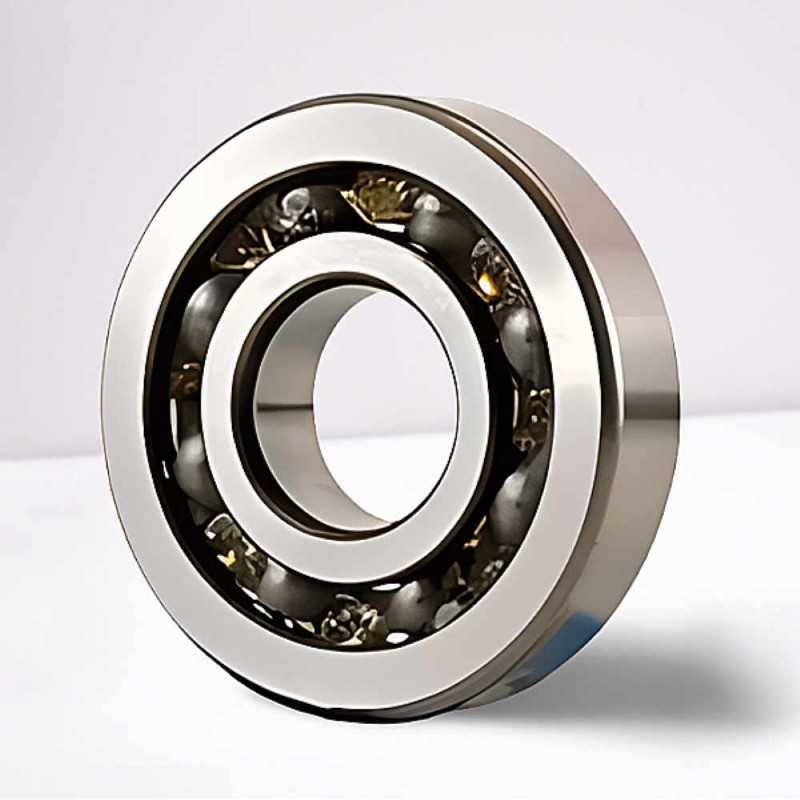 SC04A50 RICH 20x52x12 SC04A50 RICH