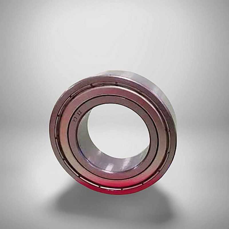 3806 ZZ RICH 30x42x10 3806-ZZ RICH