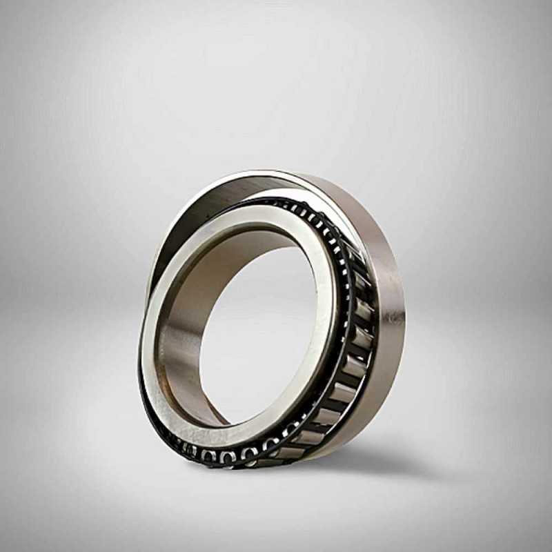 CBK 494 RICH 57x85x18,5 CBK494 RICH