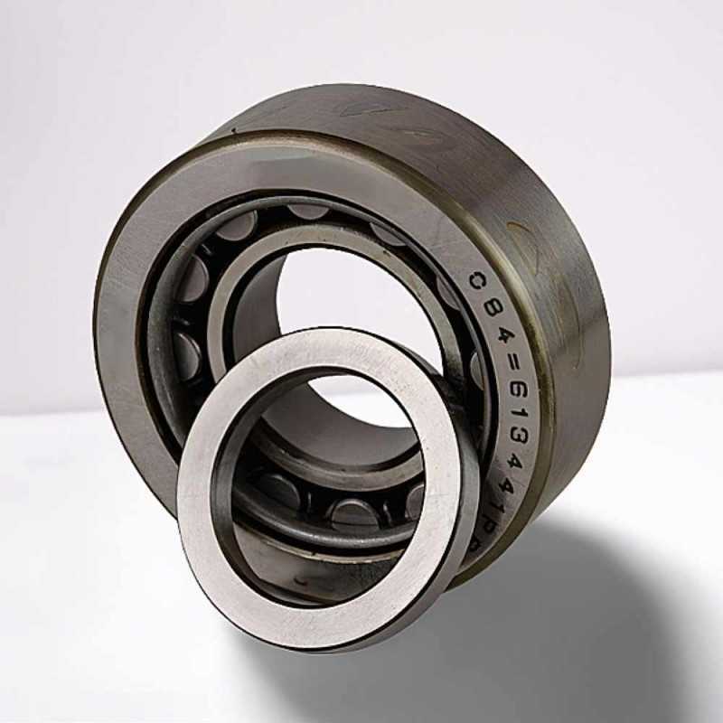 613441 TV P6 RICH 25x55x18 613441TVP6 RICH