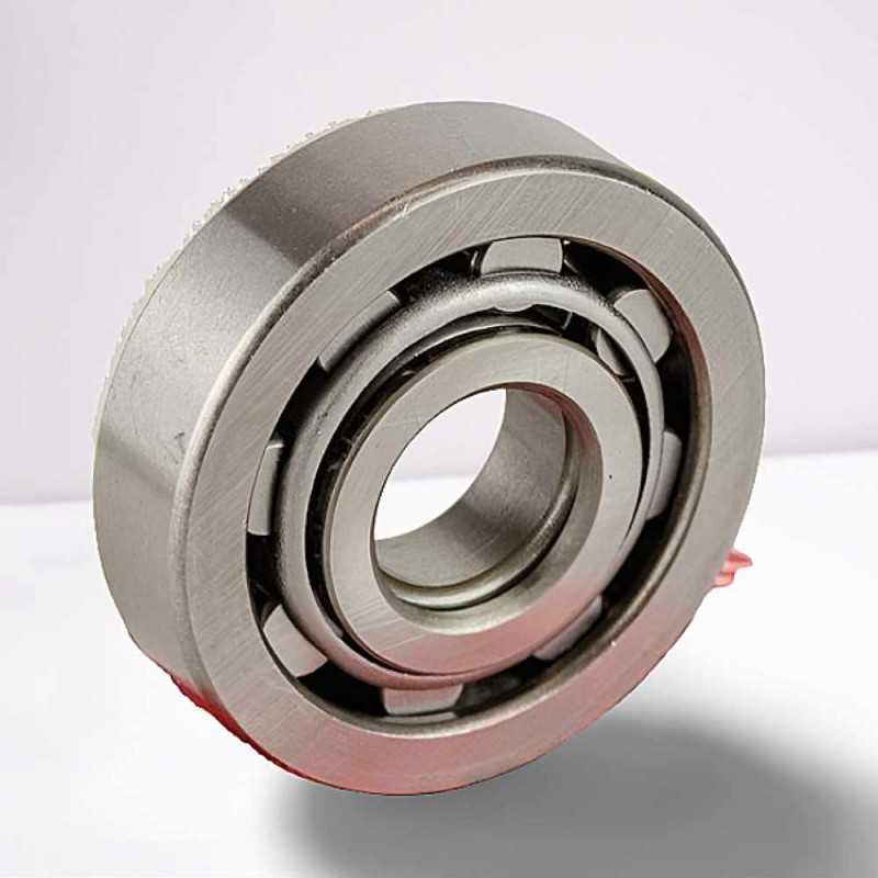 CBK 273 P6 RICH 20x56x15 CBK273P6 RICH