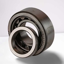 CBK272 RICH25x52x21 CBK272 RICH