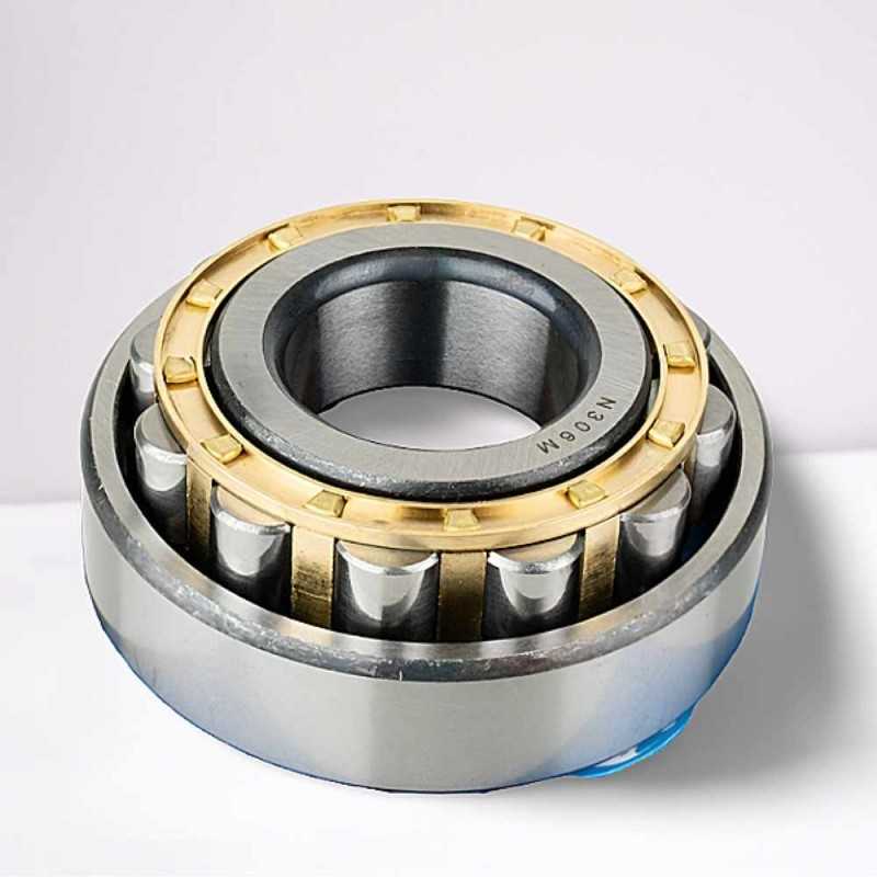 N306M RICH 30x72x19  RICH