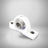SUCTP205-16 RICH Thermoplastic Bearing Unit SUCTP205-16 RICH