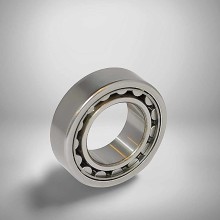 F-43710.1 RICH 35x62x19 F-43710.1 RICH