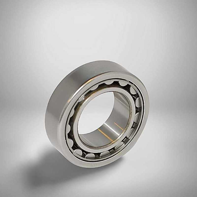 F-43710.1 RICH 35x62x19 F-43710.1 RICH