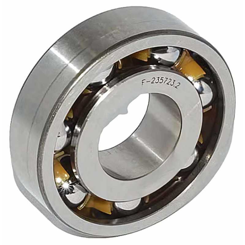 F-235723.2 RICH 26x62x17 F239060 RICH