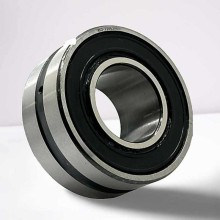 BS2-2211-2RS RICH 55x100x31 BS2-2211-2RS RICH