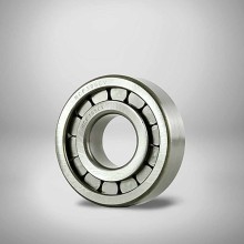 NCF305EV RICH 25x62x17 NCF305EV RICH