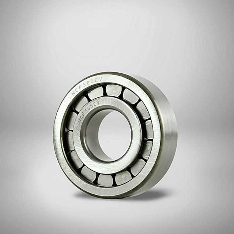 NCF305EV RICH 25x62x17 NCF305EV RICH