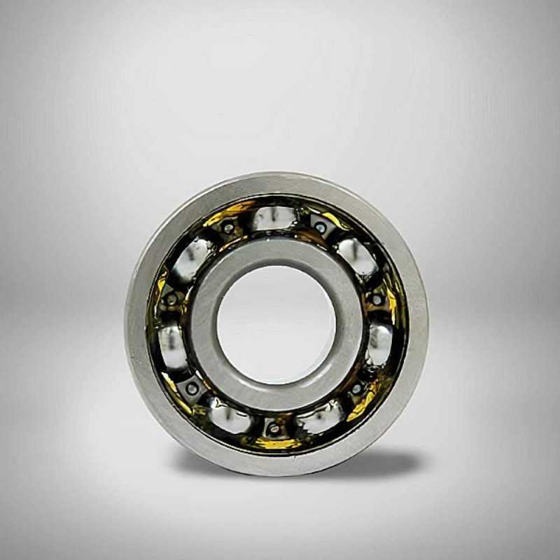 6211-Z-N RICH 55x100x21 6211-Z-N RICH