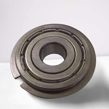 SS 6200 ZZ NR RICH 10x30x9 SS6200-ZZ-NR RICH