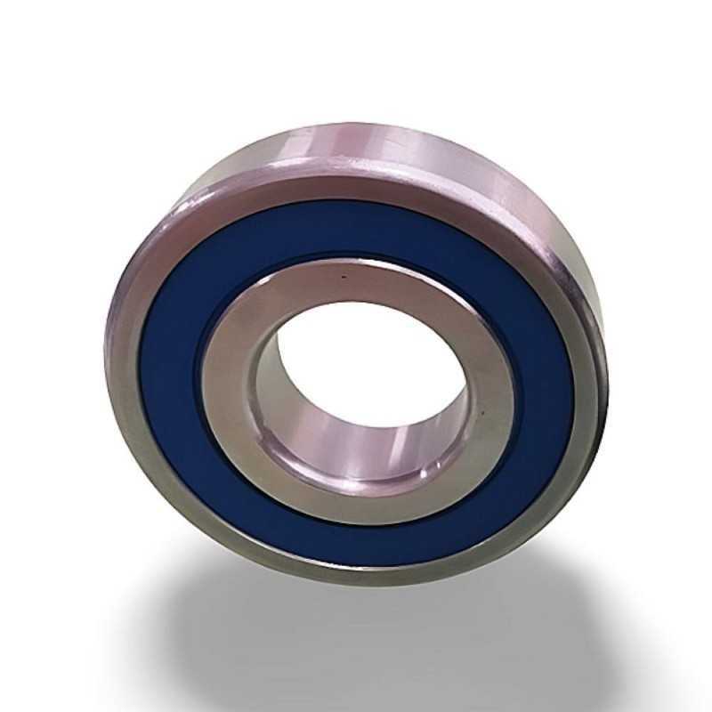 SS 6302 2RS RICH 15x42x13 SS63022RS RICH