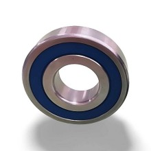 6020 2RS RICH 100x150x24 SS60202RS RICH