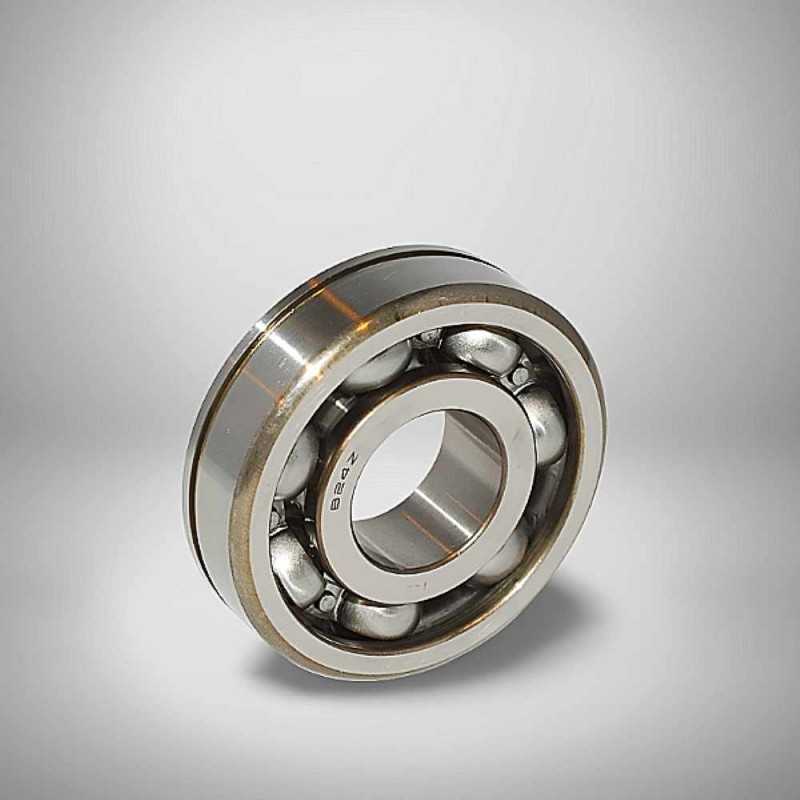 B24Z2C3 RICH 25x63x17 B24Z2C3 RICH