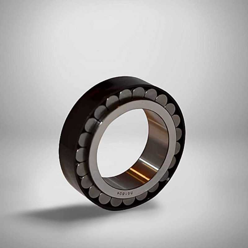 561804 RICH 50x75,2x25 561804 RICH