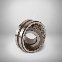 22211 EKW33J RICH 55x100x25 22211EKW33J RICH