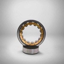 NU 1006 M RICH 30x55x13 NU1006M RICH