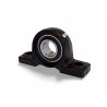 UKP 212 RICH UKP212 RICH