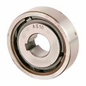 AS 10 RICH 10x30x9 |Freewheel Clutch AS10 RICH