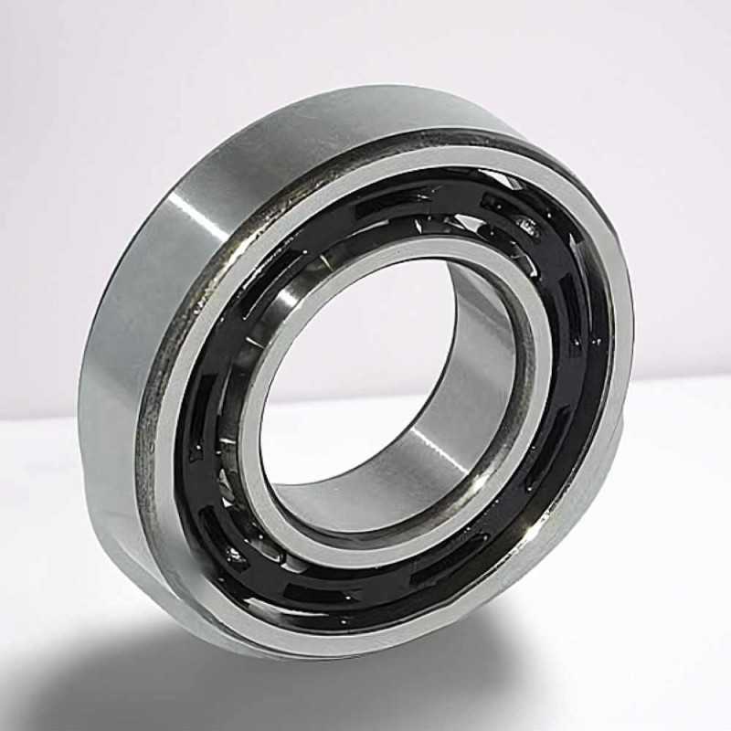 F-559026 RICH 32x62x16 F-559026 RICH