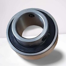 RB 205 2RS RICH 25x52x34,1 RB2052RS RICH