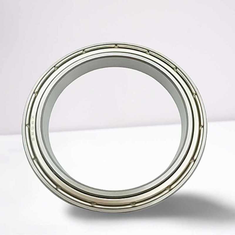 6911 2Z RICH 55x80x13 6911ZZ RICH