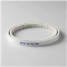 10-T5-700 RICH | Timing Belt Polyurethane 10-T5-700 RICH