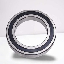 SS-16004-2RS RICH 20x42x8 SS16004-2RS RICH