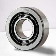 F-95066.02 RICH 15x35x11 F-95066.2 RICH