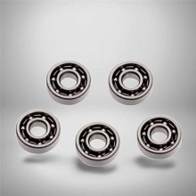 SS MR106 RICH 6x10x2,5 SSMR106 RICH