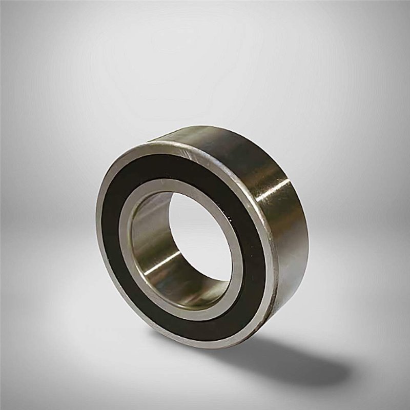 SS 4200 2RS RICH 10x30x14 SS42002RS RICH