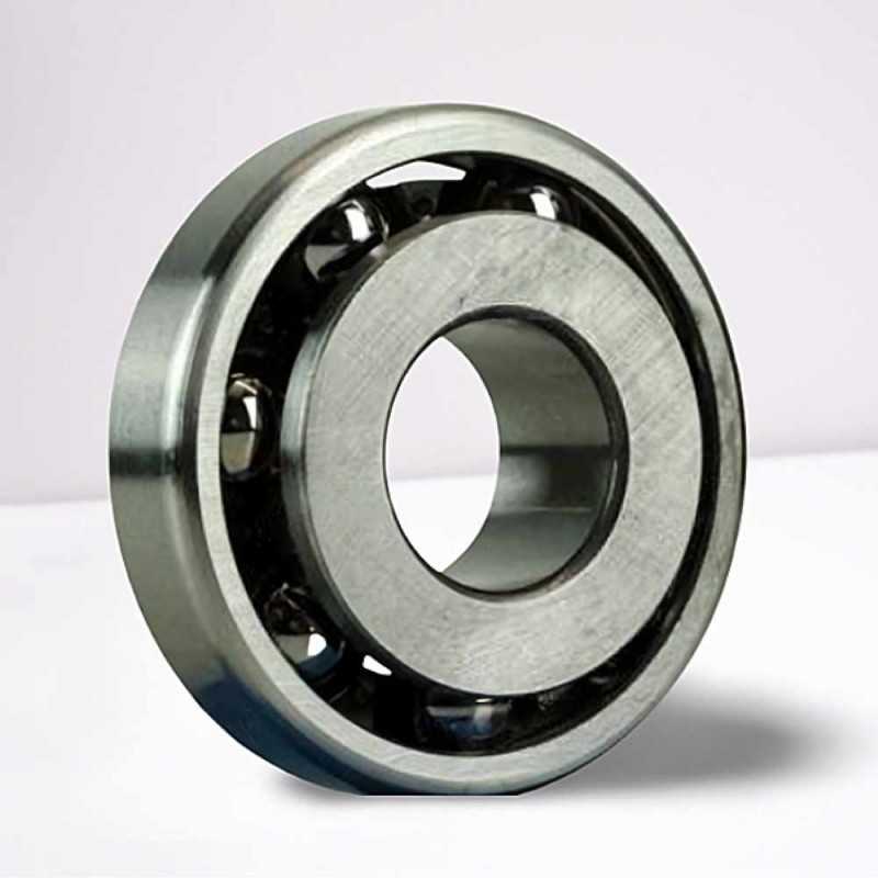 536906 RICH 25,995x68,013x21,55 536906 RICH