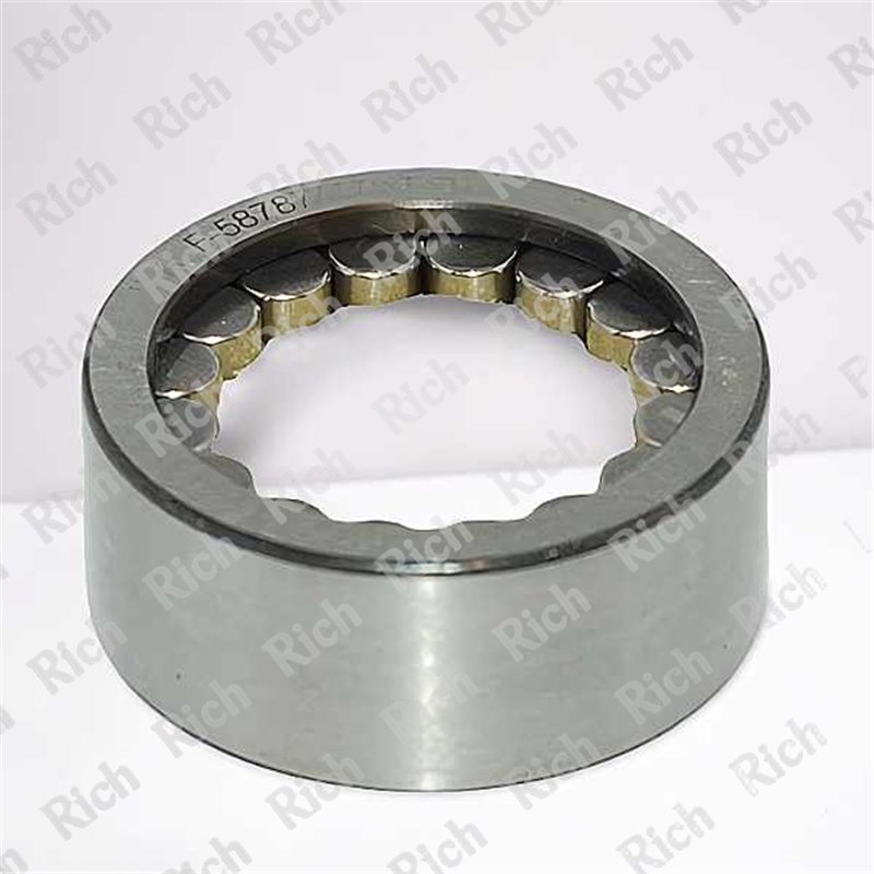 F-58787 RICH 24,782x41x17 F-58787