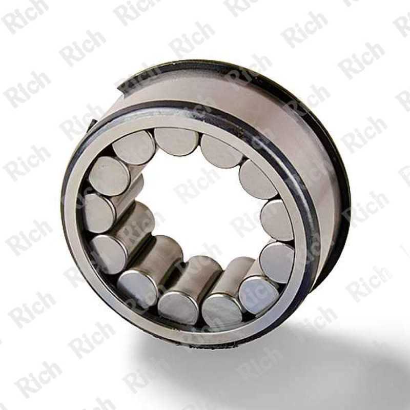 F-93249 RICH 30,5x54,6x22 F-93249 RICH