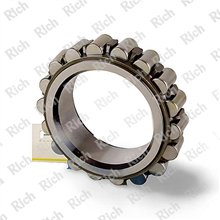 R 19061 RICH (F 211413.2) 67x101x32 R19061