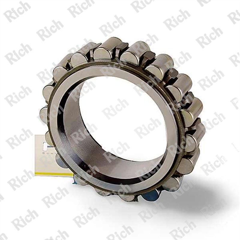 R 19061 RICH (F 211413.2) 67x101x32 R19061